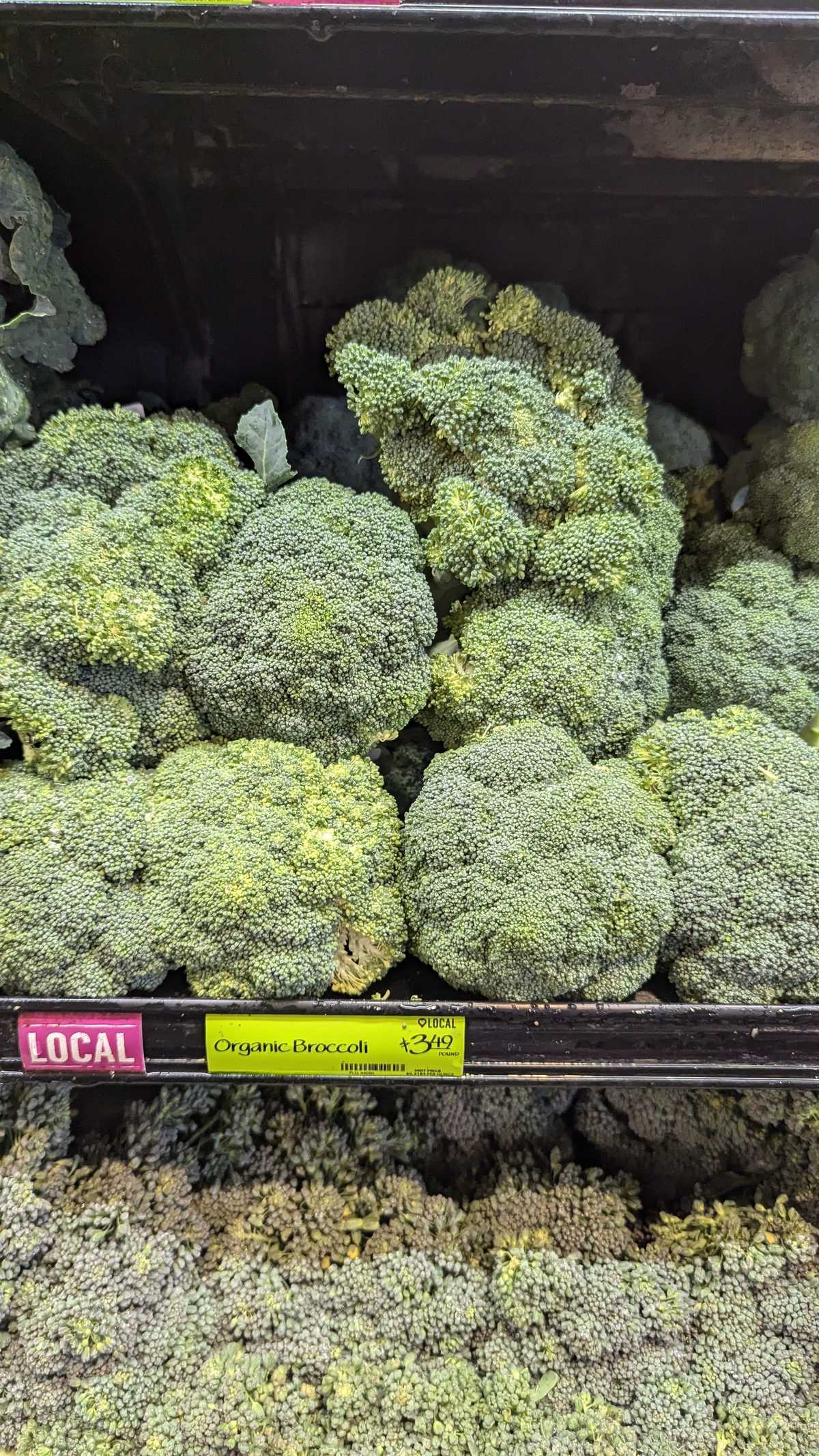Whole Foods Organic Broccoli — source product photograph