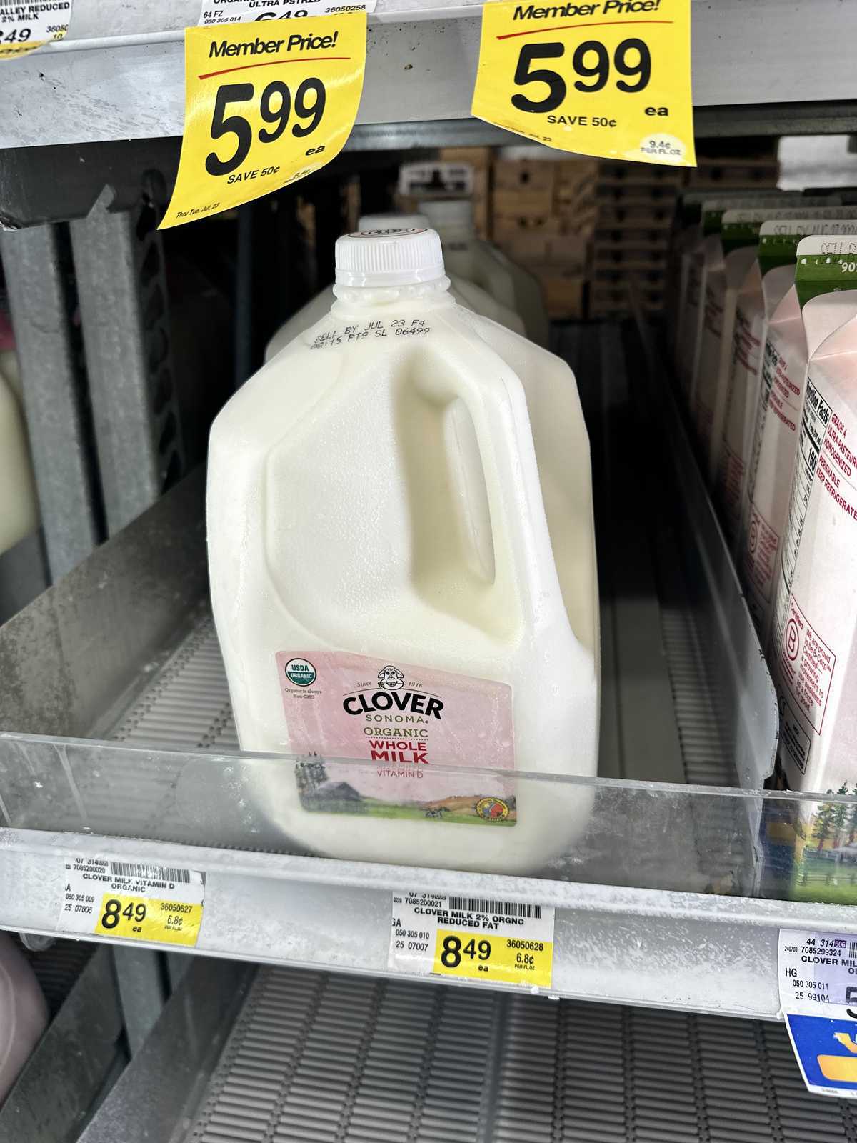 Clover Organic Whole Milk in Whole Gallon Jug — source product photograph