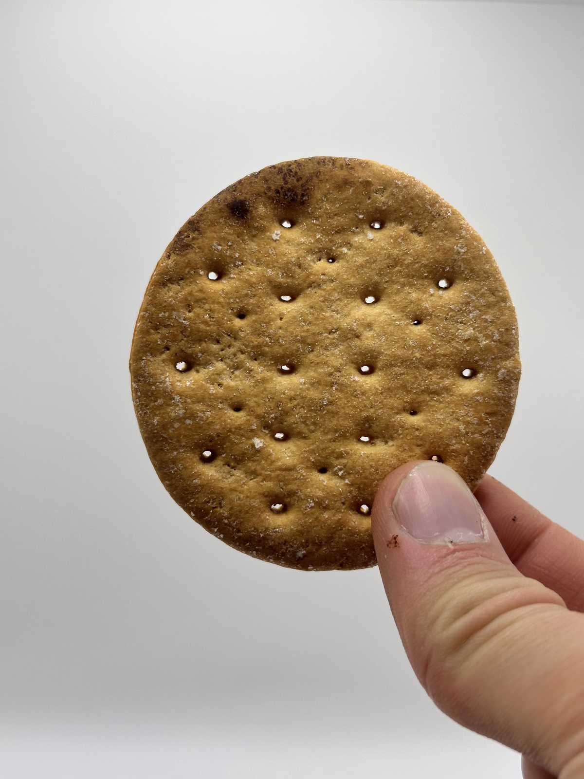 Cracker from 1952 Korean War Rations — source product photograph