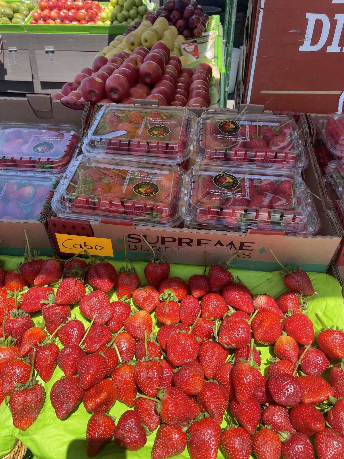 Pier 39 Farmer's Market Strawberries — source product photograph