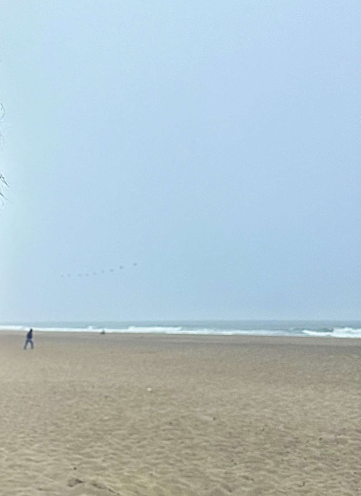 SF Ocean Water — source product photograph